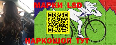 spice Будённовск