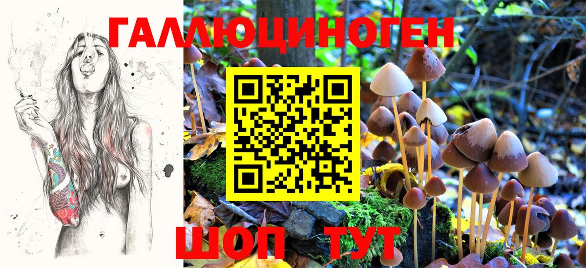 Краснознаменск  Галлюциногенные грибы GOLDEN TEACHER  Вход с VPN 